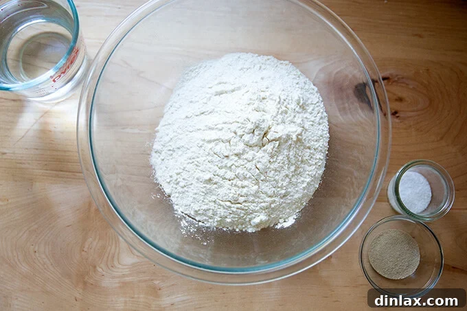 All the dry and wet ingredients laid out to make focaccia: flour, salt, yeast, and water.