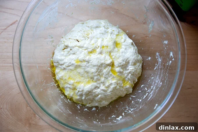 A bowl of focaccia dough, now coated with olive oil.