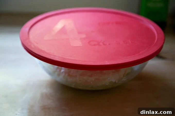 A covered bowl containing focaccia dough after its initial fridge rise, visibly expanded.