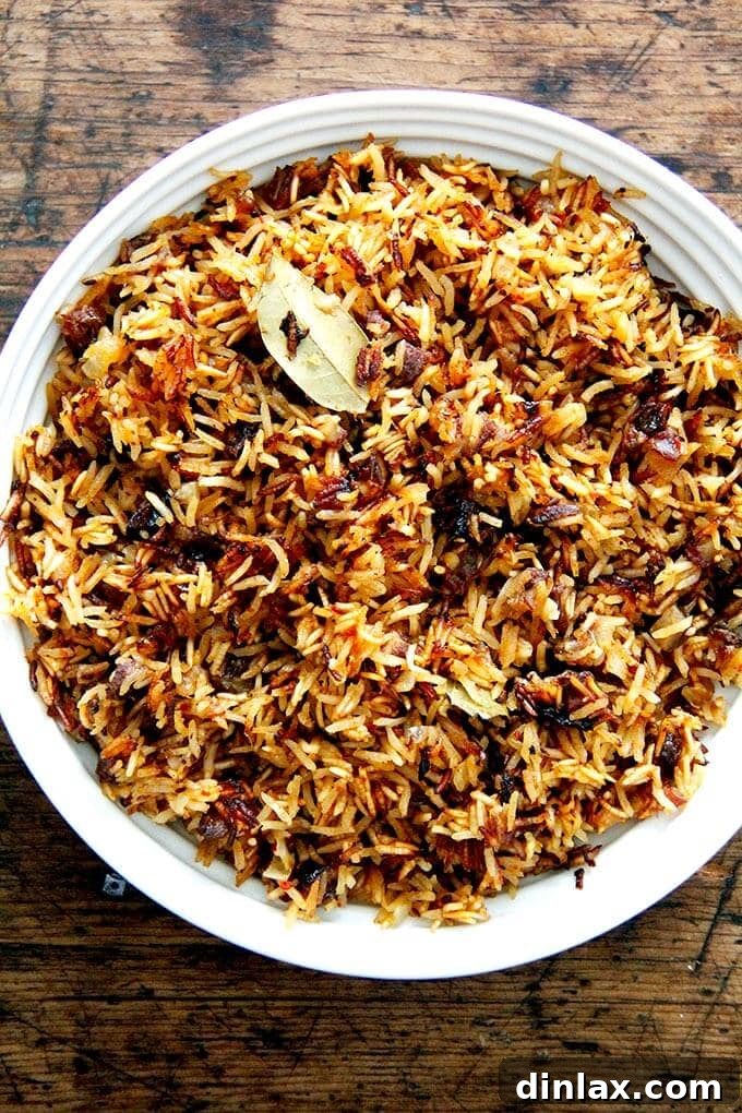 Instant Pot Harissa Rice with Sweet Dates and Zesty Orange 24 A close-up of a bowl of Moroccan Harissa Rice, showcasing the beautiful mix of colors and textures from the dates and orange, emphasizing its rich, vegetarian appeal.