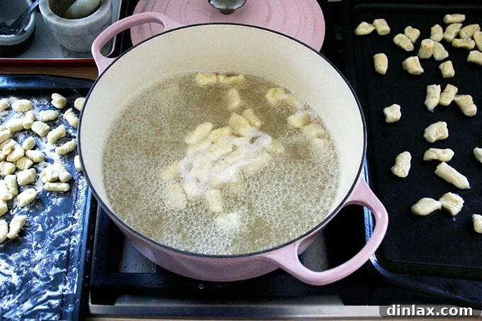 The gnocchi plated beautifully, ready to be enjoyed.