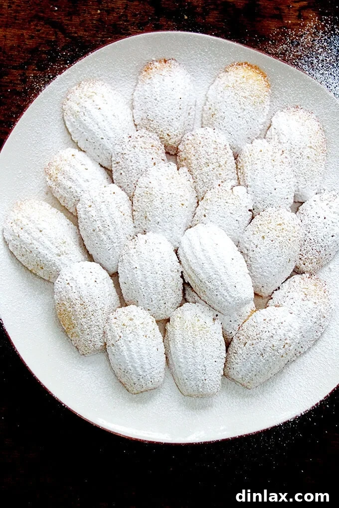 A plate of golden, shell-shaped Madeleines dusted with powdered sugar, ready to be enjoyed.