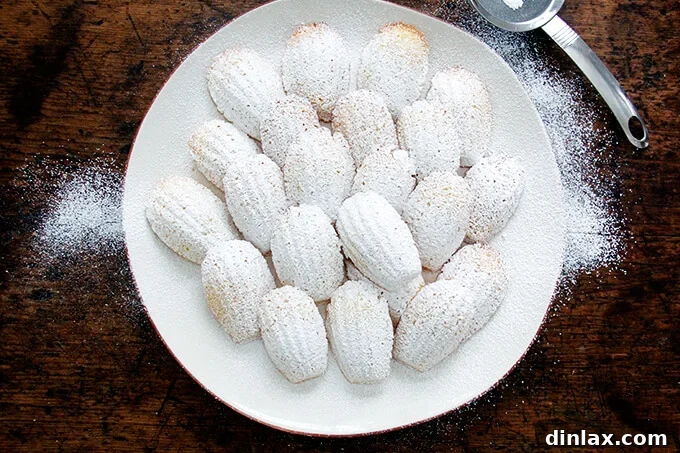 An overhead shot of lemon madeleines beautifully dusted with powdered sugar on a pristine white platter.