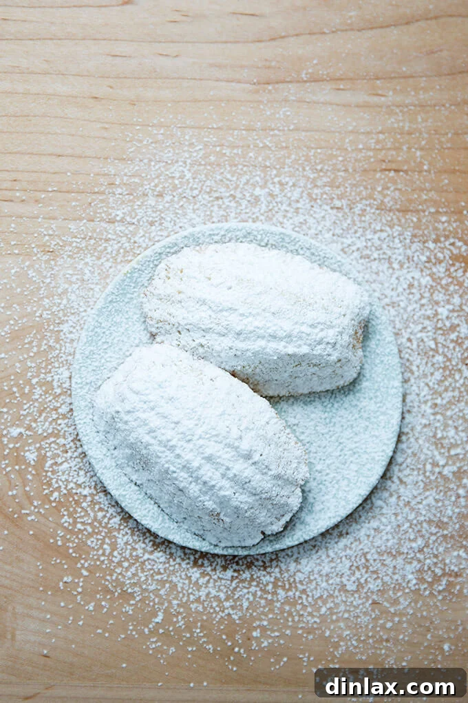 Two perfectly baked lemon madeleines, dusted with powdered sugar, resting elegantly on a small white plate.