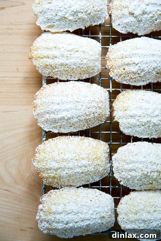 A close-up of delicate lemon Madeleines, freshly baked and lightly dusted with powdered sugar, arranged on a cooling rack.
