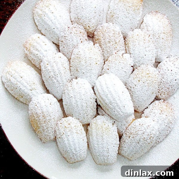 A plate of golden, shell-shaped Madeleines dusted with powdered sugar.