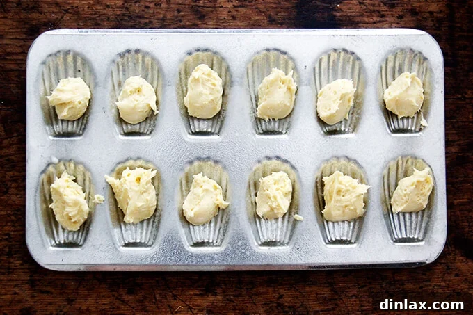 An overhead shot of madeleine cookie batter neatly scooped into a well-greased madeleine pan, ready for baking.