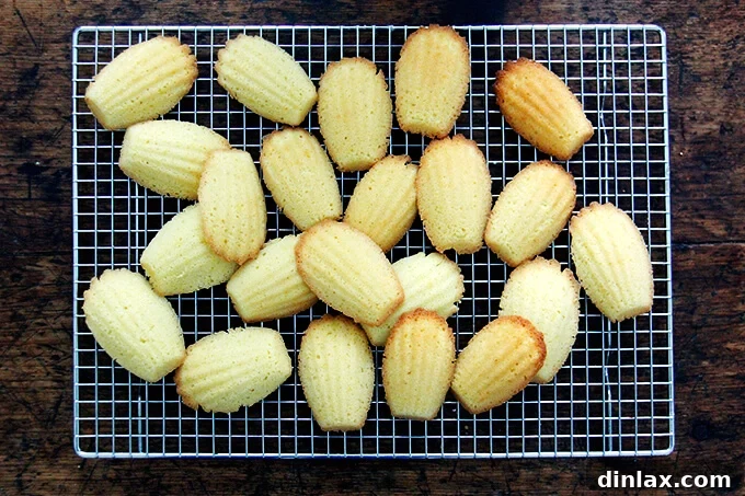 Just-baked lemon madeleines cooling on a rack, showcasing their golden color and signature hump.