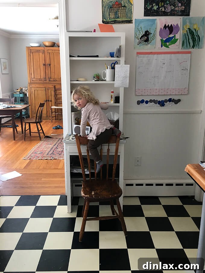 Tig, our furry family member, making himself at home in the original kitchen. Our dog Tig in the old kitchen, adding to family memories
