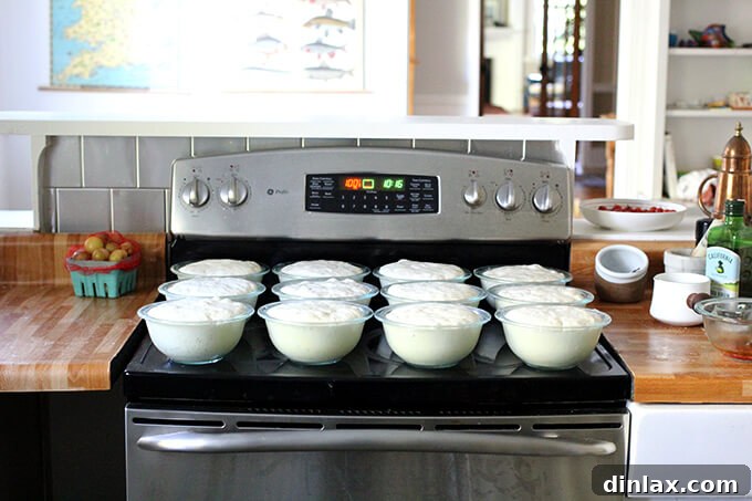 Our trusty old GE oven, a reliable fixture in the kitchen for many years. Reliable old GE oven in the pre-renovation kitchen