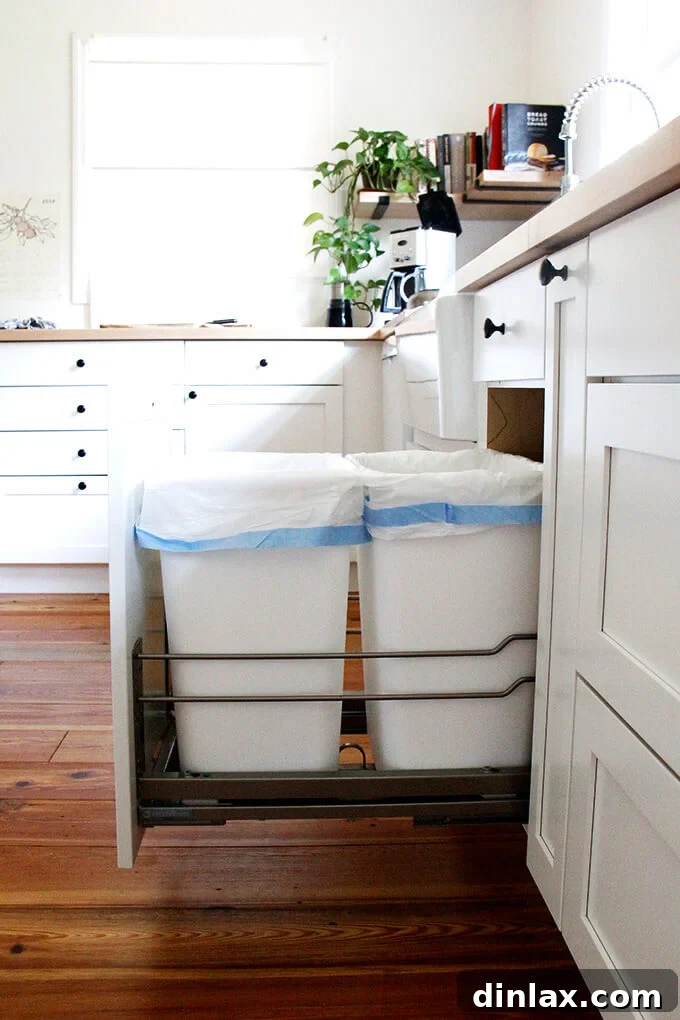 Interior view of a kitchen cabinet showcasing smart storage solutions.