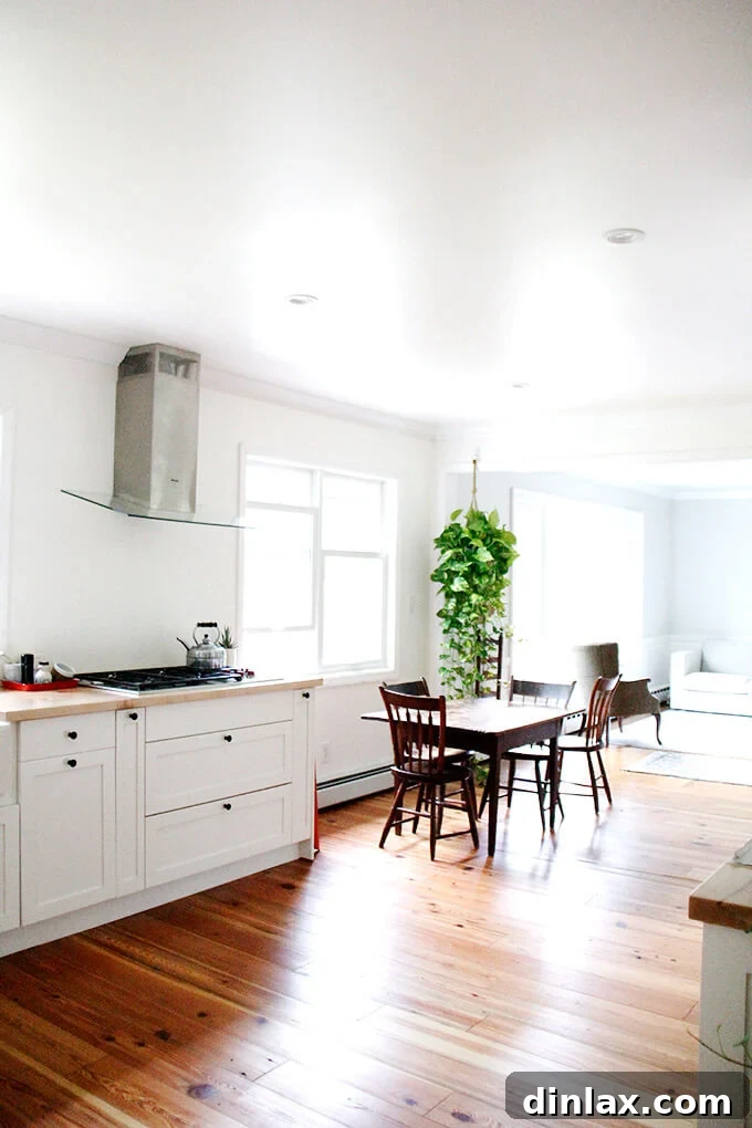 View of the kitchen sink area with a large apron-front sink, modern faucet, and reclaimed wood flooring.