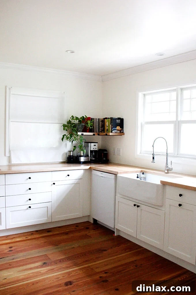 Open shelving in the kitchen displaying neatly organized items and a small plant.