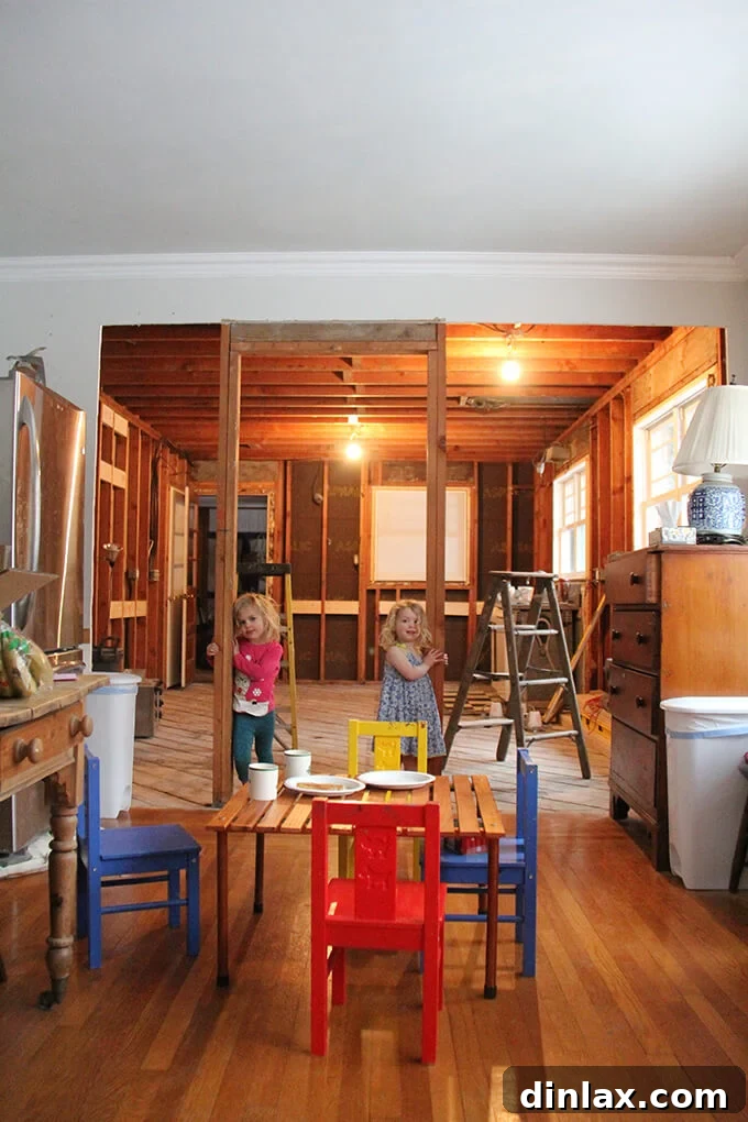 Two pets, Wren and Tig, observing the kitchen renovation with curiosity and enjoyment