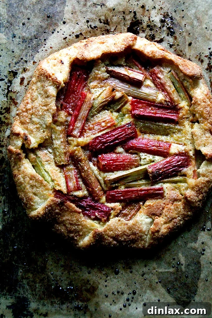Rustic Rhubarb Frangipane Galette 2 A beautifully baked rhubarb frangipane galette, golden brown and rustic.