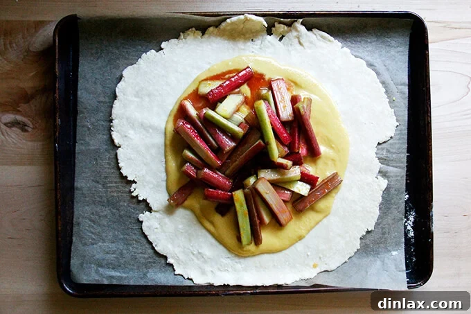 Rustic Rhubarb Frangipane Galette 23 Vibrant, sugared rhubarb pieces carefully arranged atop the frangipane layer on the pastry dough.