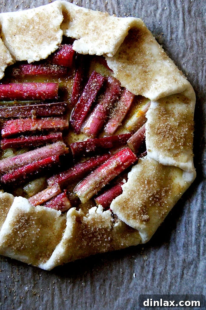 Rustic Rhubarb Frangipane Galette 26 A top-down, artistic shot of the unbaked rhubarb frangipane galette on a baking sheet, capturing its rustic beauty from above.