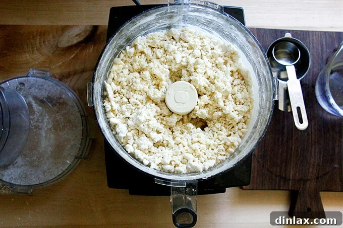 Rustic Rhubarb Frangipane Galette 10 The food processor bowl now contains a crumbly dough mixture, indicating it's ready for shaping.