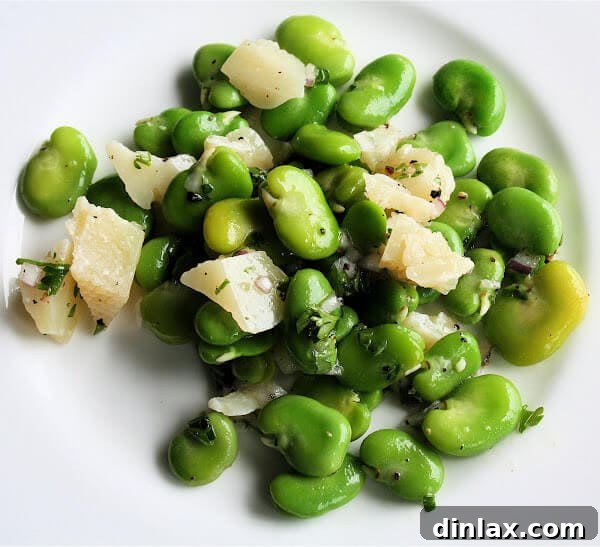Fresh fava bean and Pecorino cheese salad, a classic springtime combination.
