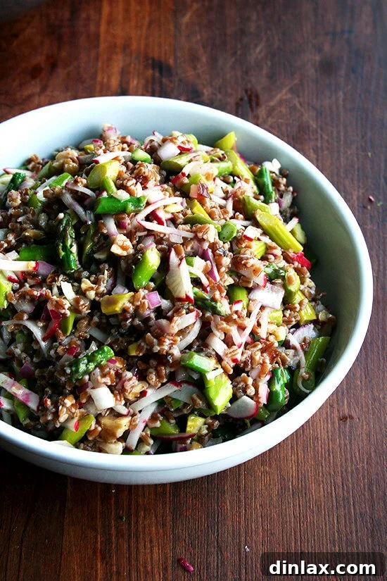 Wholesome spring wheatberry salad, accompanied by a versatile grain salad formula.
