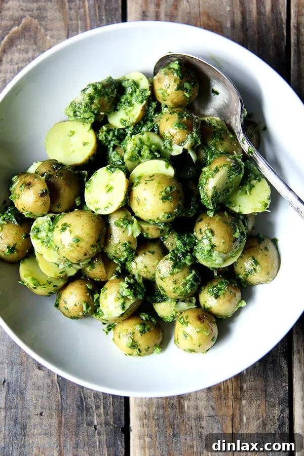 Unique potato salad featuring a bold and spicy green harissa dressing.