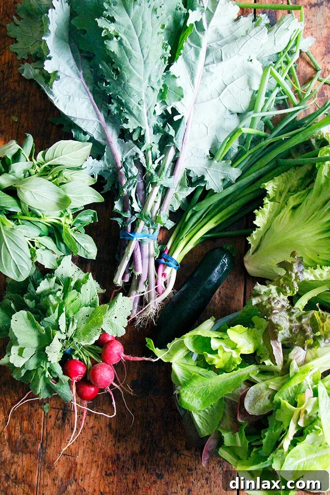 Freshly harvested radishes with their vibrant green tops, signaling the start of CSA season