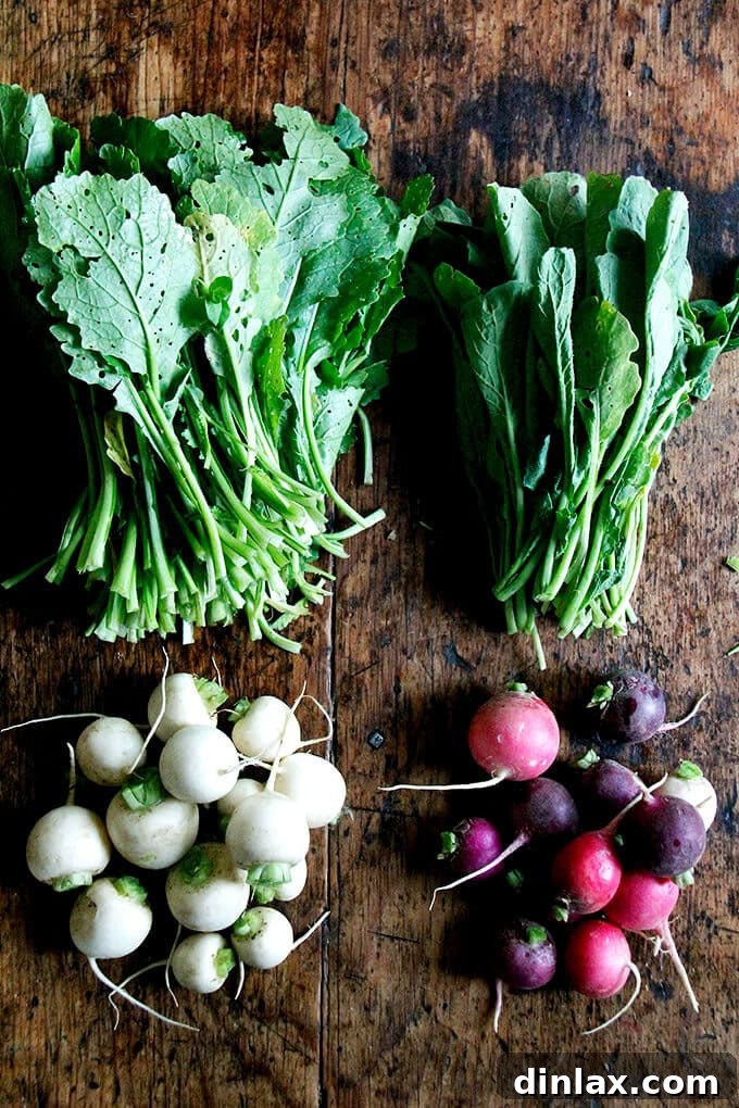 Close-up of a variety of neatly stored fresh greens, including radish and turnip tops, showcasing their rich color