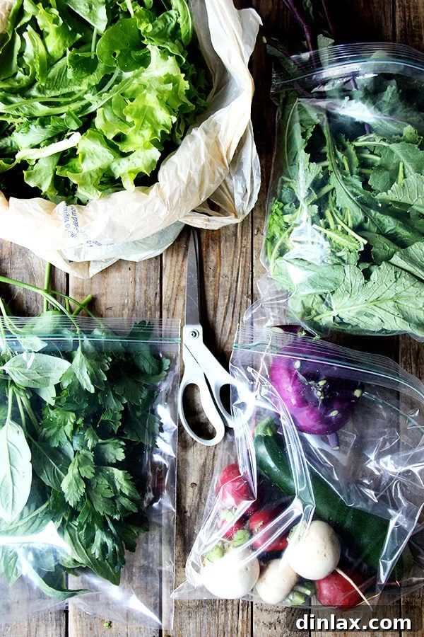 An organized refrigerator crisper drawer filled with fresh, vibrant CSA vegetables and herbs
