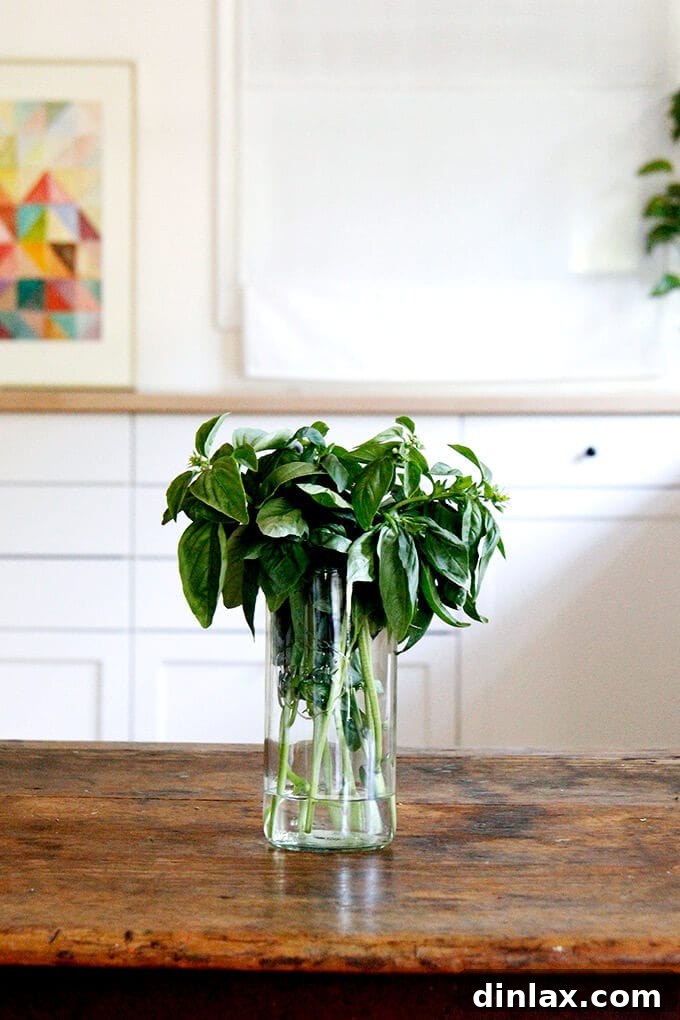 Salted cucumber spears served in a bowl, a refreshing and simple snack from the CSA share