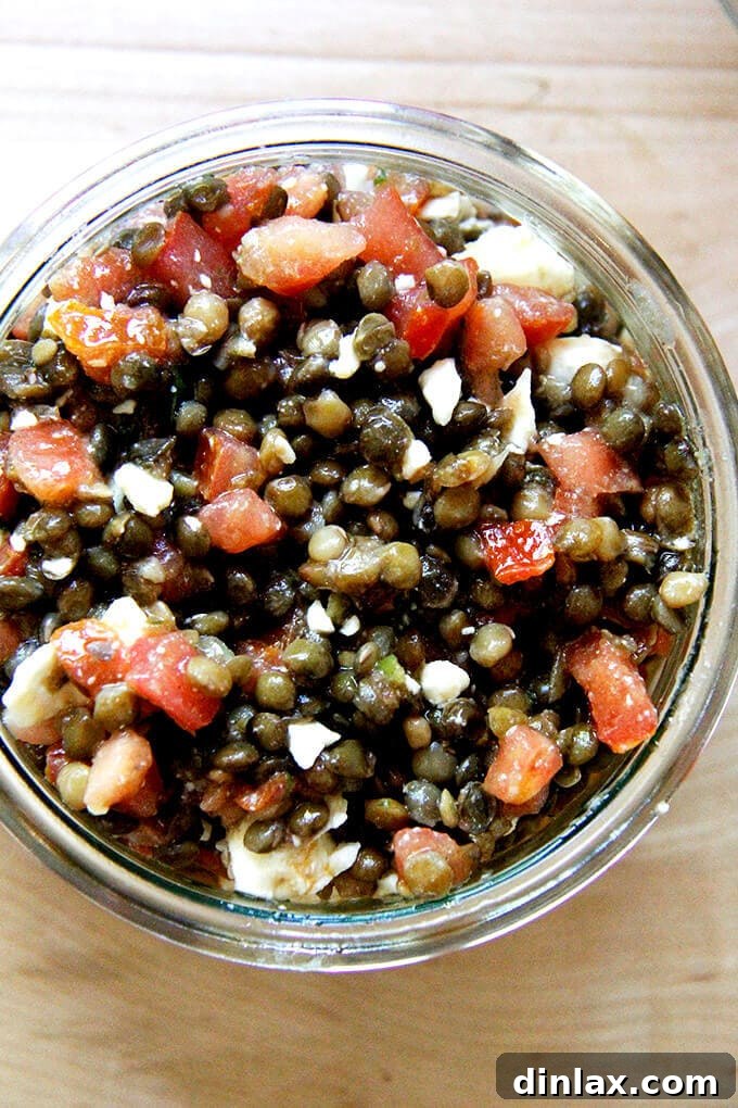 A vibrant bowl of 3-ingredient lentil salad with feta and bruschetta sauce, ready to be served.
