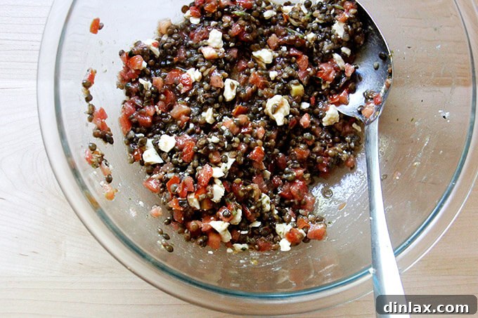 The finished 3-ingredient lentil salad, beautifully tossed and perfectly blended, ready to be served and enjoyed.