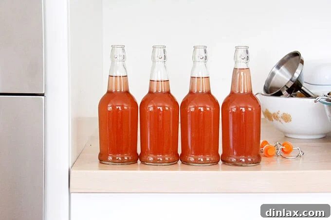 Rhubarb Schnapps Reimagined 11 Four beautifully filled jars of homemade rhubarb schnapps, ready for enjoyment.