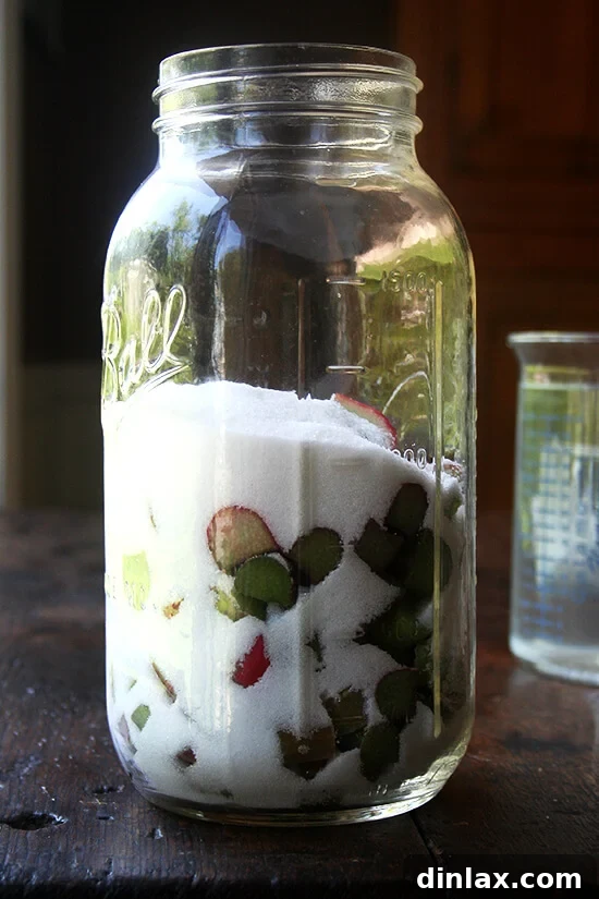 Rhubarb Schnapps Reimagined 4 A large glass jar containing freshly chopped rhubarb layered with granulated sugar, ready for infusion.