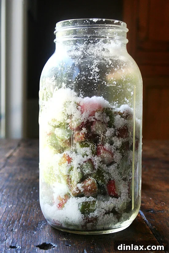 Rhubarb Schnapps Reimagined 5 A sealed jar of chopped rhubarb and sugar, after being shaken to combine the ingredients.