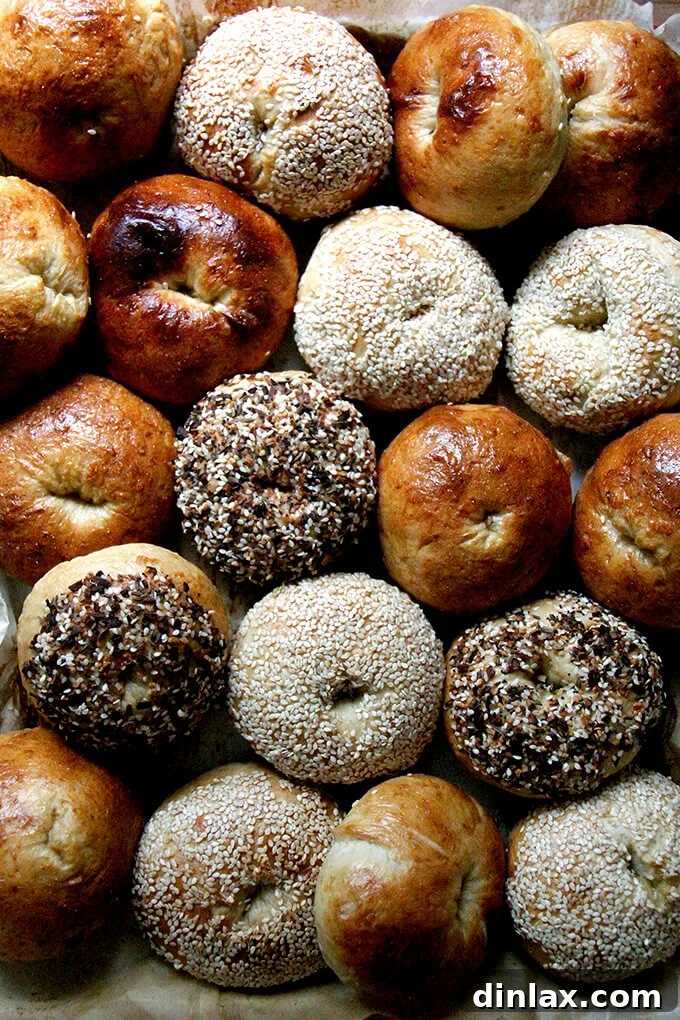 A sheet pan filled with freshly baked, perfectly golden and seed-crusted homemade bagels, ready to be enjoyed.