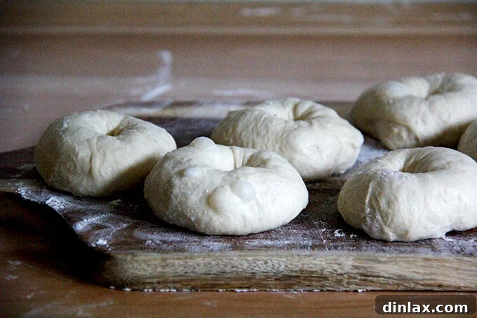 A cutting board filled with perfectly shaped raw bagels, each with a distinct hole in the center, ready for boiling.