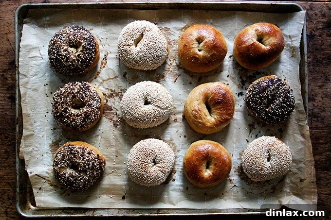 A freshly baked, golden-brown bagel with a perfectly toasted crust, just out of the oven.