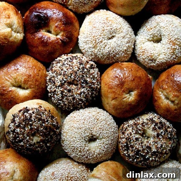 A sheet pan filled with freshly baked, perfectly golden and seed-crusted homemade bagels.
