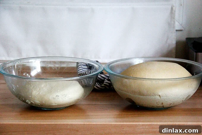 Two bowls side-by-side, showing bagel dough before and after an overnight rise in the fridge, demonstrating its expansion.