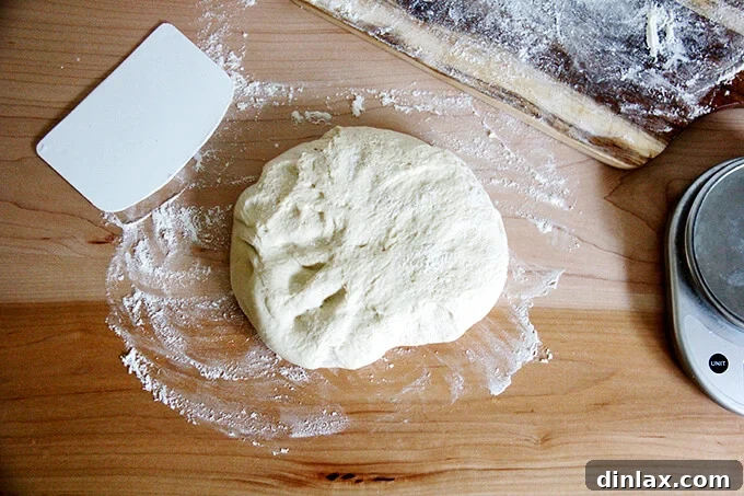 Chilled bagel dough resting on a lightly floured kitchen counter, ready for portioning and shaping.