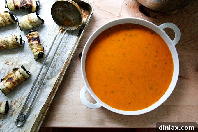 Ladle a thin layer of tomato sauce into a gratin dish.