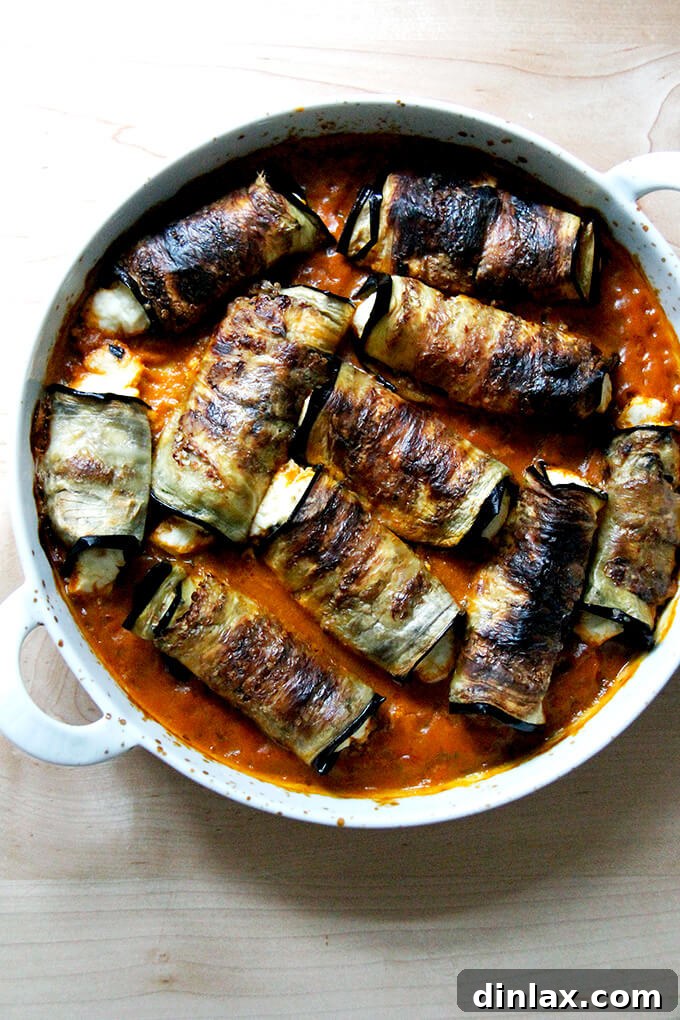 Baked eggplant involtini in a gratin dish, garnished with basil.