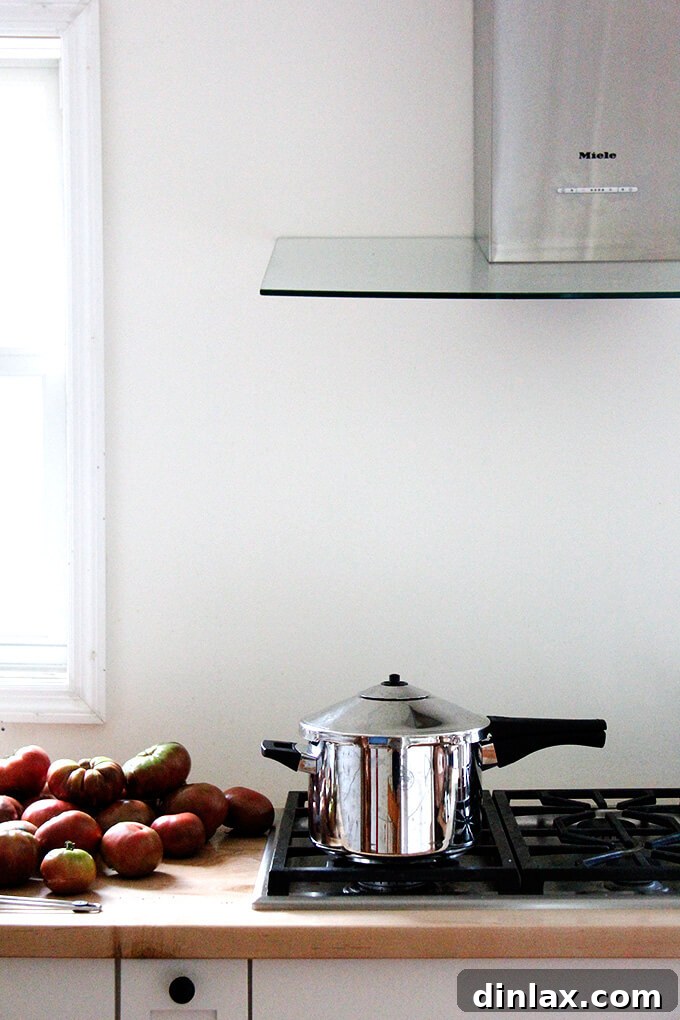 Pressure cooker on the stovetop, with two red lines visible on the valve.
