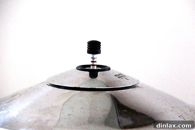 Pressure cooker valve showing two red lines and a hissing sound.