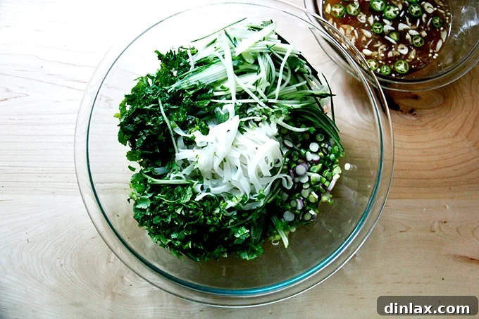 Cooked rice noodles with herbs, cucumbers, and scallions aside nuoc cham.