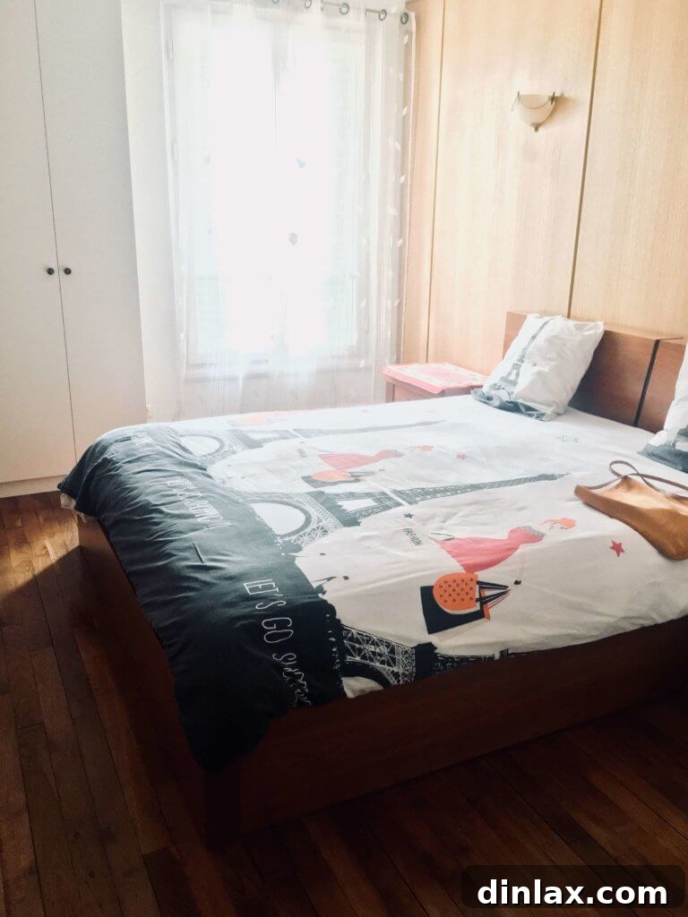 Parisian Gems 61 Another view of the well-appointed Airbnb apartment, showing its Parisian charm.