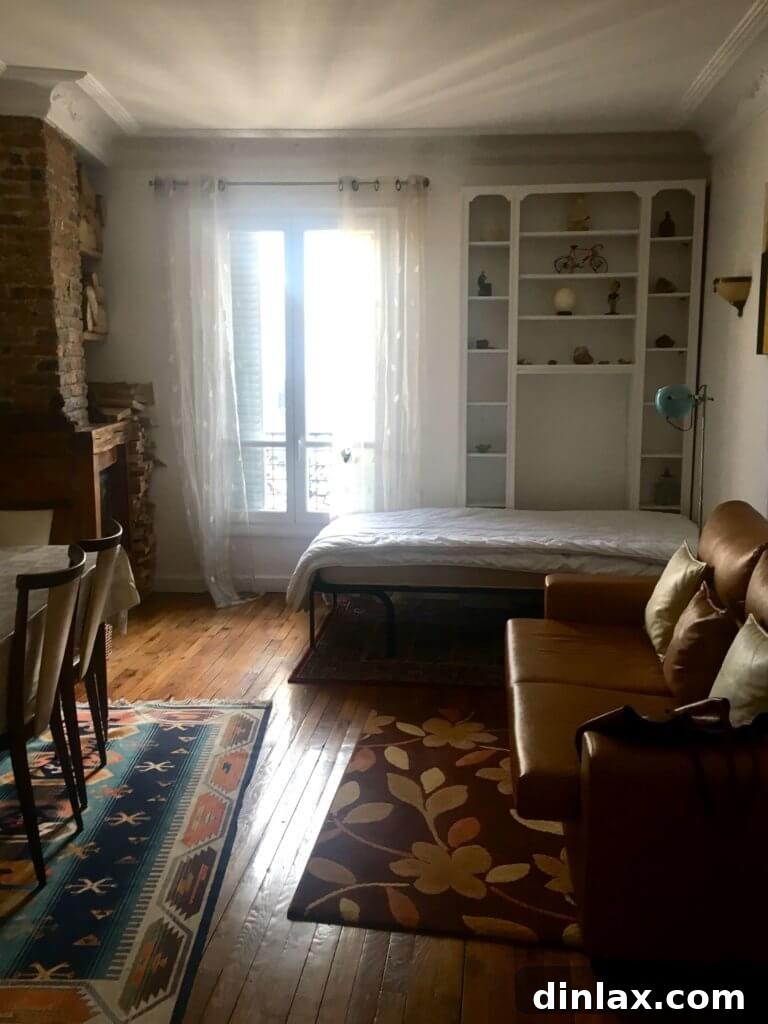 Parisian Gems 62 A picturesque view from the Airbnb window, showcasing Parisian rooftops and streets.