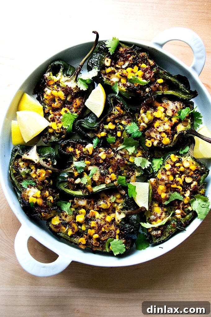 A vibrant pan of blistered poblano peppers generously stuffed with a hearty mix of quinoa, sweet corn, and melted Monterey Jack cheese, garnished with fresh cilantro.