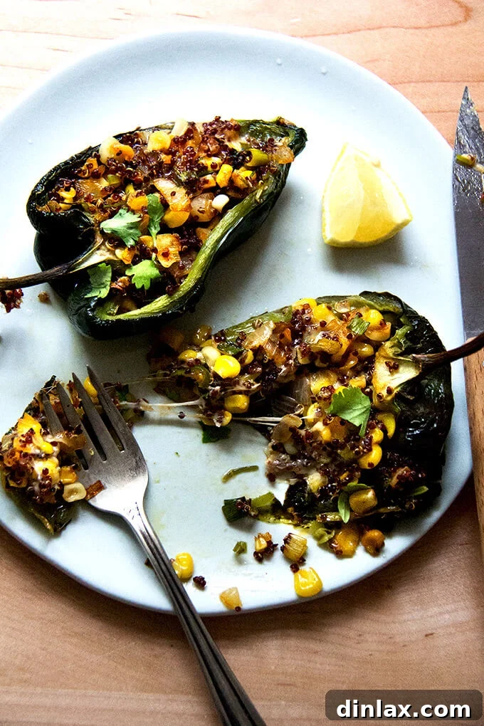 A single serving of a perfectly baked, blistered poblano pepper, generously stuffed with quinoa, corn, and Monterey Jack cheese, garnished with fresh cilantro, ready to be enjoyed.