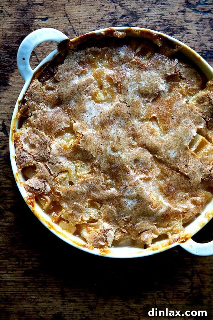 Golden Sugar-Crusted Apple Cobbler 2 A just-baked apple cobbler with a glistening, hot sugar crust, ready to be served.